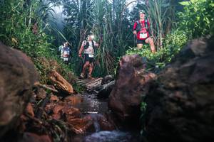 BIB: 
                            <button type="button" onclick="openModal(26419725)" class="btn btn-primary btn-sm float-right btn-popup" data-toggle="modal" data-target=".modal-high-quality">
                        <i class="fas fa-shopping-cart"></i> Add to Cart
                    </button>
                                            <button type="button" onclick="isThisMe(26419725, true)" class="btn btn-success btn-sm float-right btn-popup btn-isme hidden" data-toggle="tooltip" data-placement="bottom" title="นี่คือรูปของคุณใช่ไหม คลิกที่นี่เพื่อเอาเข้าอัลบั้ม">
                        <i class="fas fa-plus"></i> Add to album
                    </button>
                    <button type="button" onclick="isThisMe(26419725, false)" class="btn btn-warning btn-sm float-right btn-popup btn-isnotme hidden">
                        <i class="fas fa-ban"></i> Remove from album
                    </button>